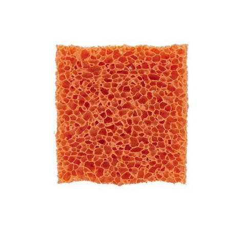 Orange Stipple Sponge