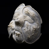 CMS Foam Latex Slasher Face Prosthetic