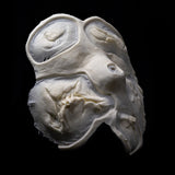 CMS Foam Latex Slasher Face Prosthetic