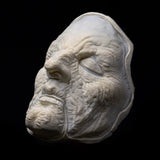 CMS Foam Latex Witch Face Prosthetic