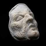 CMS Foam Latex Witch Face Prosthetic